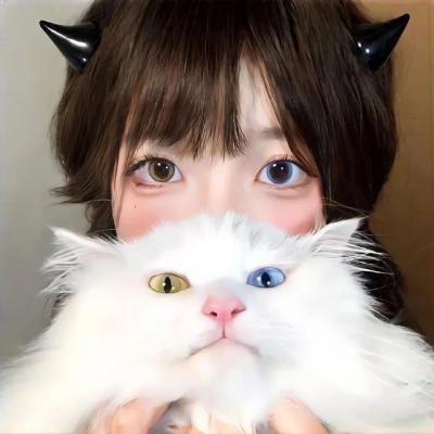 大山里的致富路