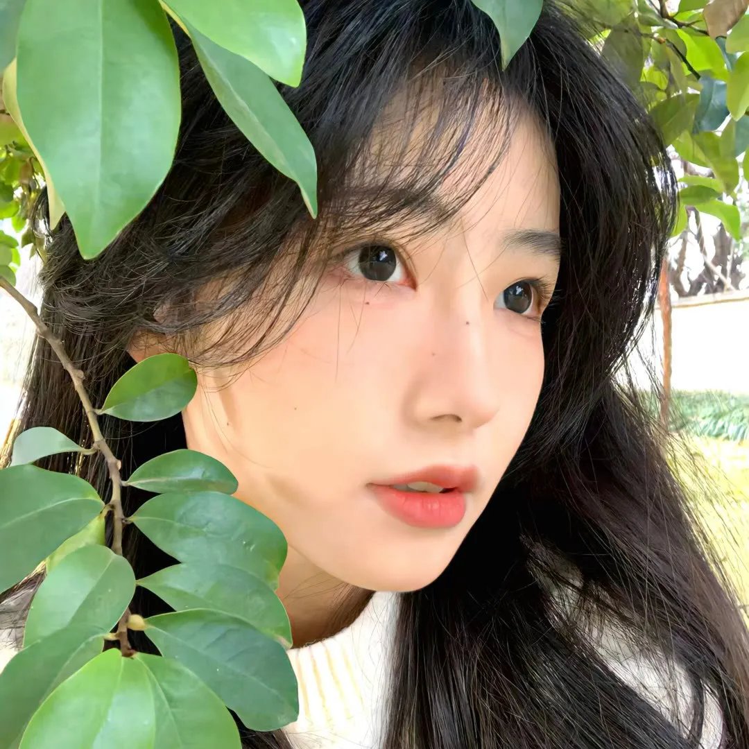 九个女仔一只鬼